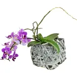 Vingo Hranatý květináč z dýhy šedý s igelitovou vložkou Rozměry (cm): sada