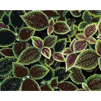 Diamondi Diamantové malování - ZELENO-ČERVENÉ LISTY Rozměr: 40x50 cm, Rámování: vypnuté plátno na rám