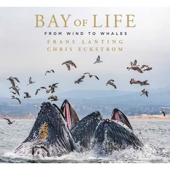 Cizojazyčná kniha Bay of Life - Lanting, Frans a Eckstrom, Chris