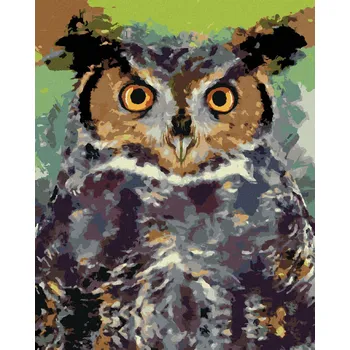 Hračka Diamondi Diamantové malování - BAREVNÁ SOVA II Rozměr: 40x50 cm, Rámování: bez rámu a bez vypnutí plátna