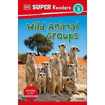 Anglický jazyk DK Super Readers Level 3 Wild Animal Groups - DK