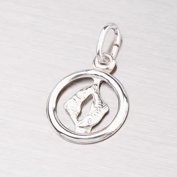 Přívěsek Přívěsek stříbro 925 - Ryby M5022-02