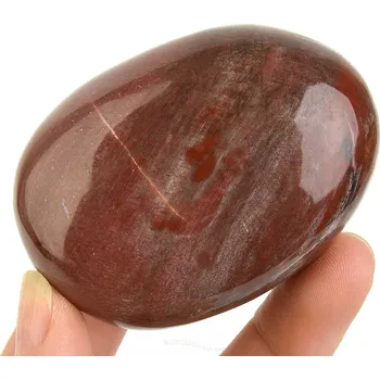 Sběratelství Hladký kámen zkamenělé dřevo (Madagaskar) 161g