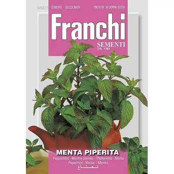 Semeno Máta peprná 0,5g