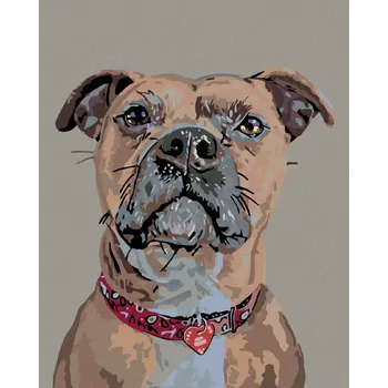 Diamondi Diamantové malování - PES V POZORU A SRDÍČKOVÝ OBOJEK Rozměr: 40x50 cm, Rámování: bez rámu a bez vypnutí plátna