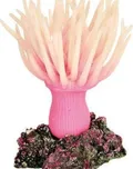 Mořská řasa růžová 8 cm TRIXIE