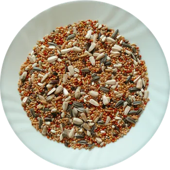 Krmivo pro ptáka Avicentra s.r.o. Střední papoušek professionál 5 kg