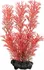 Dekorace do akvária Tetra Foxtail Red S 15 cm