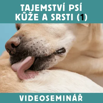 DVD film Dokonalá Láska VIDEOSEMINÁŘ – TAJEMSTVÍ PSÍ KŮŽE A SRSTI