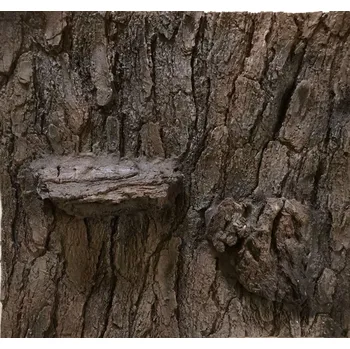 Dekorace do terária Pozadí Akvamex style kůra hnědá s kapsami 60 x 55