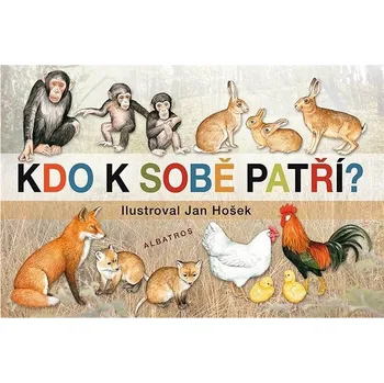 Hračka pro nejmenší Kdo k sobě patří Kniha