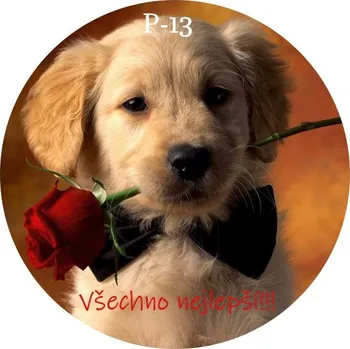 Jedlá dekorace na dort Pes s přáním - jedlý papír - P-13