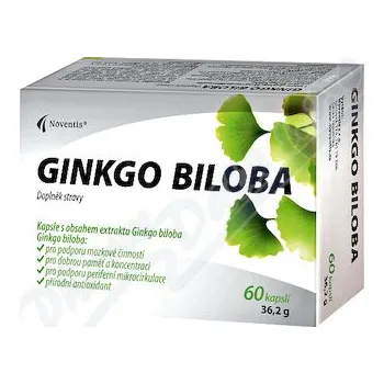 Přípravek na podporu paměti a spánku Ginkgo Biloba 40mg cps.60