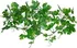 Dekorace do terária Lucky Reptile Jungle Vine Gape Leaf Vine 200 cm