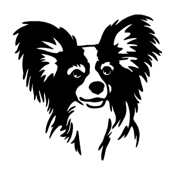 Polep vozidla Pes 190 pravá Papillon (01 - černá) SAMOLEPKA NA AUTO, NÁLEPKA, FÓLIE, POLEP, TUNING, VLASTNÍ TEXT, TISK, AUTOSAMOLEPKY.cz, POLEPY, OBRÁZEK, LOGO, 3D STICKERS