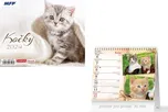 MFP Stolní mini kalendář 1061473 Kočky…
