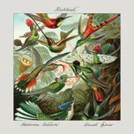 Krehkosť - Katarína Koščová, Daniel…