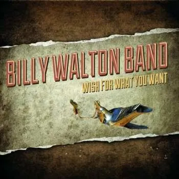 Zahraniční hudba CD Billy Walton Band: Wish For What You Want 2015 Digi Pak