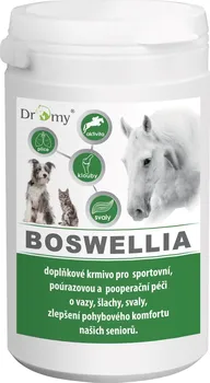Dromy Boswellia Serrata 750 g