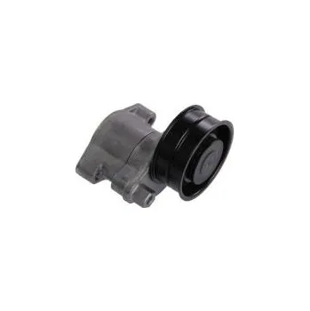 Rozvod motoru Napínací kladka pro DAF CF 75 (2001-) - SKF 20061