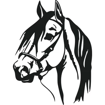 samolepka Samolepka Hlava koně