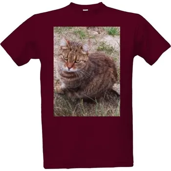 Pánská móda Tričko s potiskem Kočka Ťapík pánské