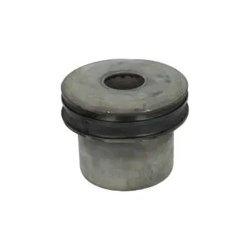 Blatník karosérie Silentblok (uložení) listového pera RENAULT MAGNUM, PREMIUM / VOLVO FE (1992-), univerzální 16777