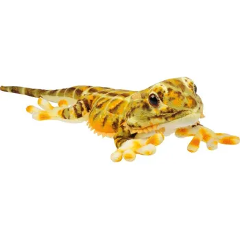 plyšák Plyšák agama