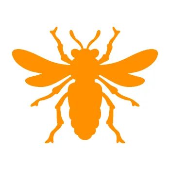 Samolepící dekorace Moucha 006 (06 - oranžová) SAMOLEPKA NA AUTO, NÁLEPKA, FÓLIE, POLEP, TUNING, VLASTNÍ TEXT, TISK, AUTOSAMOLEPKY.cz, POLEPY, OBRÁZEK, LOGO, 3D STICKERS