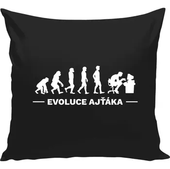 Polštář Polštář černý 40x40 cm Evoluce - IT specialista