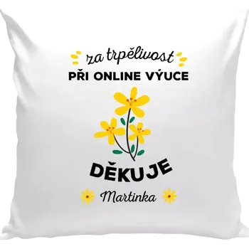 Polštář Polštář bílý 40x40 cm Za trpělivost při online výuce