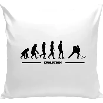 Polštář Polštář bílý 40x40 cm Hockey evolution
