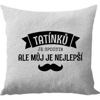 Polštář Polštář bílý 40x40 cm - dlouhý chlup Tatínků je spousta, ale můj je nejlepší