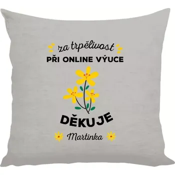Polštář Polštář lněný 40x40 cm Za trpělivost při online výuce