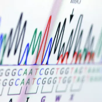 Diagnostický test Test sportovních předpokladů pro děti a mládež