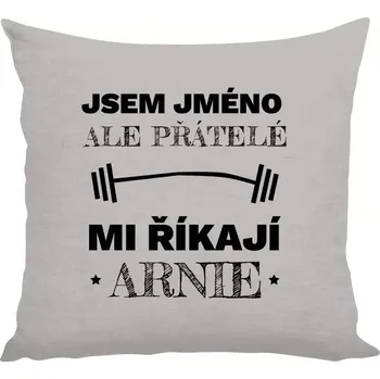 Polštář Polštář lněný 40x40 cm Jsem (jméno), ale přátelé mi říkají Arnie