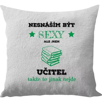 Polštář Polštář bílý 40x40 cm - dlouhý chlup Nesnáším být sexy, ale jsem učitel