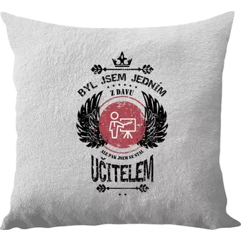 Polštář Polštář bílý 40x40 cm - dlouhý chlup Byl jsem jedním z davu, ale pak jsem se stal učitelem