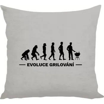 Polštář Polštář lněný 40x40 cm Evoluce - grilování
