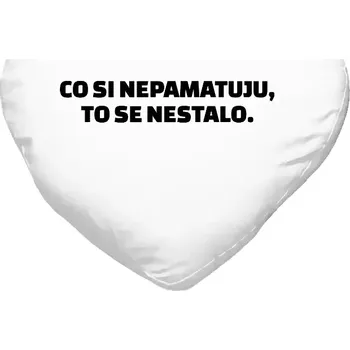 Polštář Polštář srdce 40x35 cm Co si nepamatuju, to se nestalo