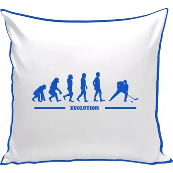 Polštář Polštář barevný 32x32 cm Hockey evolution