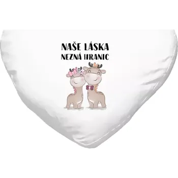 Polštář Polštář srdce 40x35 cm Naše láska nezná hranic