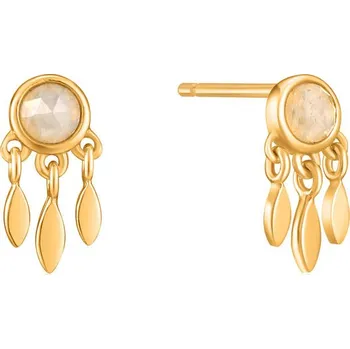 Náušnice Dámské náušnice Ania Haie E026-06G Mincovní stříbro Zlatá (1 cm)