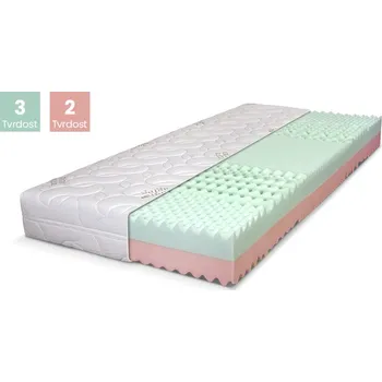 Matrace DPV Matrace TWIGGY Rozměr: 100x200, Výška: 19 cm, Typ potahu: AntiAging