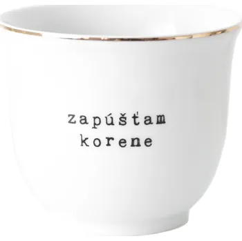 Obal na květináč Bella Rose Porcelánový obal na květináč Zapúšťam korene 10 cm - SK