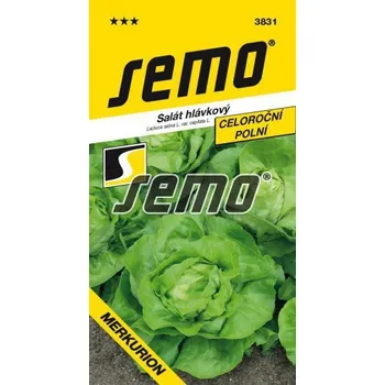 Semeno Salát - Merkurion