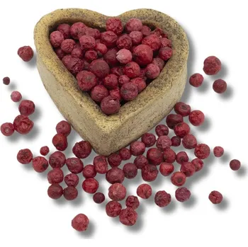 Sušená potravina FITBOY Rybíz červený lyofilizovaný 100g 100g