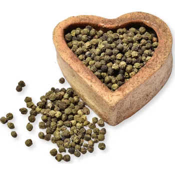 Koření FITBOY Pepř zelený celý 100g 100g