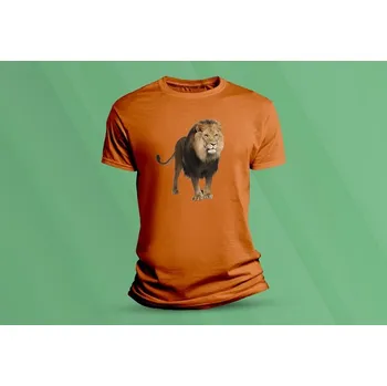 Chlapecké tričko Dětské bavlněné tričko Lev 1. velikost 152 (12-13 let) Oranžová