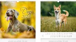MFP Nástěnný malý kalendář Dogs 2024